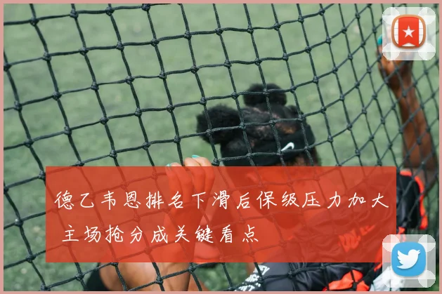 德乙韦恩排名下滑后保级压力加大 主场抢分成关键看点