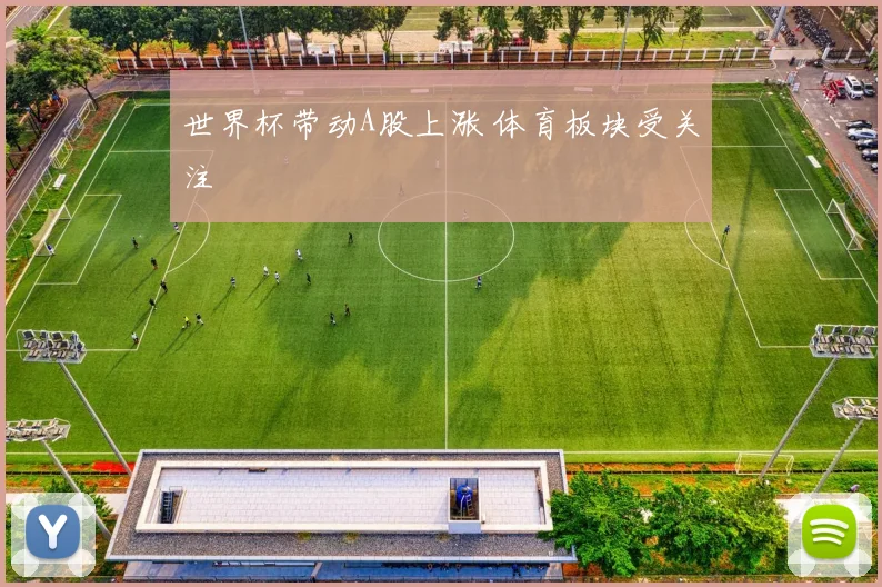 世界杯带动A股上涨 体育板块受关注
